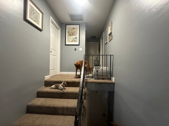 Foto del edificio - 397 W 4th St