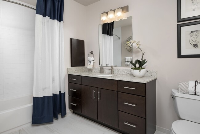 Foto del interior - ReNew Oak Park