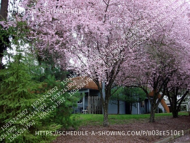 Foto del edificio - 11309 SW 135th Ave