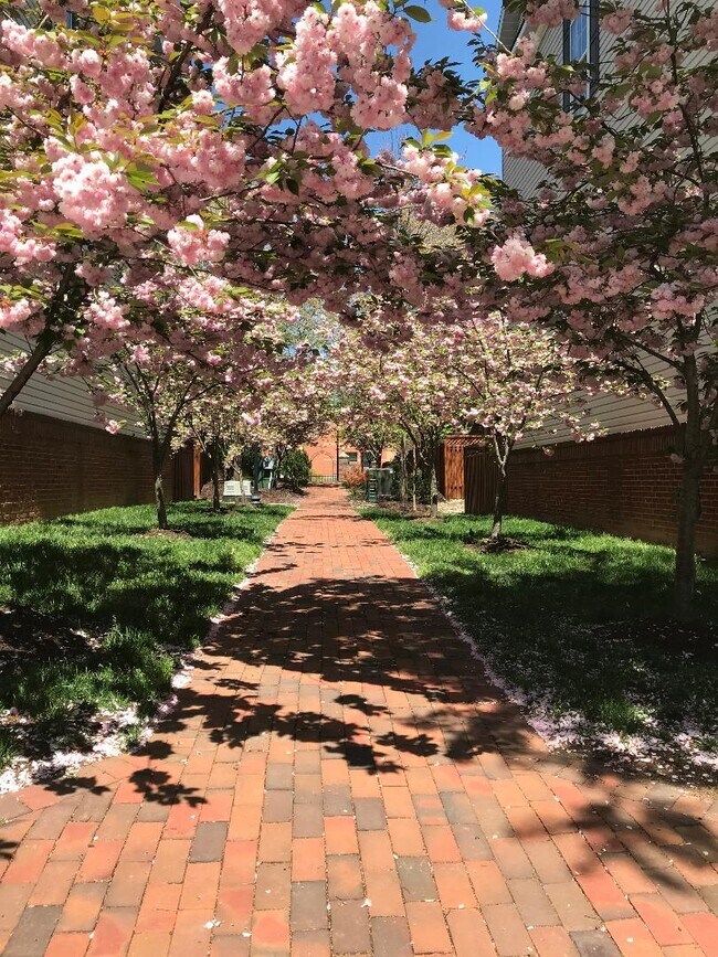 Foto del edificio - 5001 Waple Ln