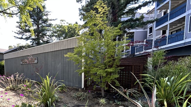 Gated community in a prime Mountian View location - 725 Mariposa Ave