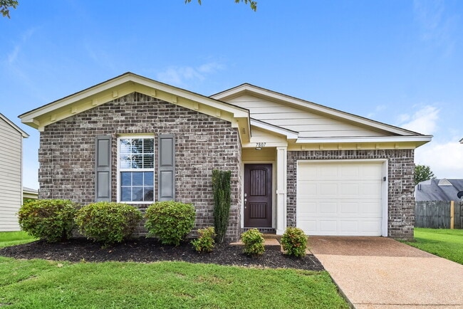 Building Photo - 7807 Birdwood Dr