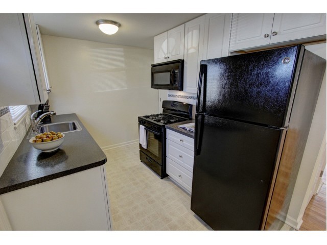 The Capital features a remodeled kitchen with a dishwasher and microwave - Adams Park Apartments