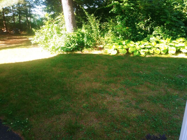 Side yard - 22 Laura Dr