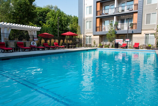 Sparkling Pool - Artesian Springs