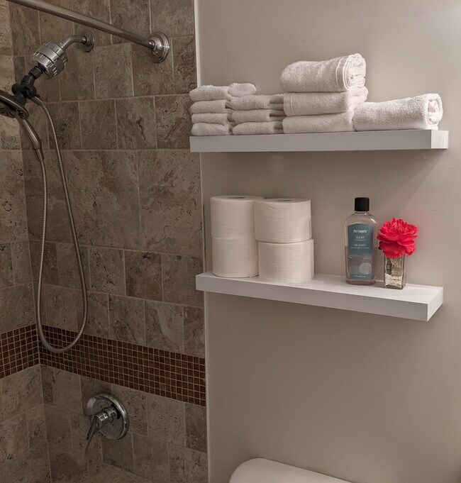 2nd floor bathroom - 119 Mt Prospect Ave
