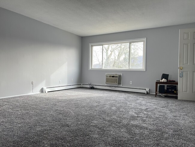 Large living room - 9 Fishkill Glen Dr