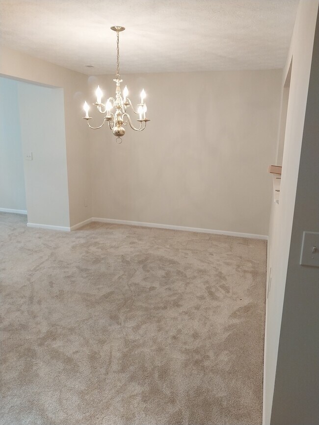 Foto del edificio - 3912 Vineyard Green Dr