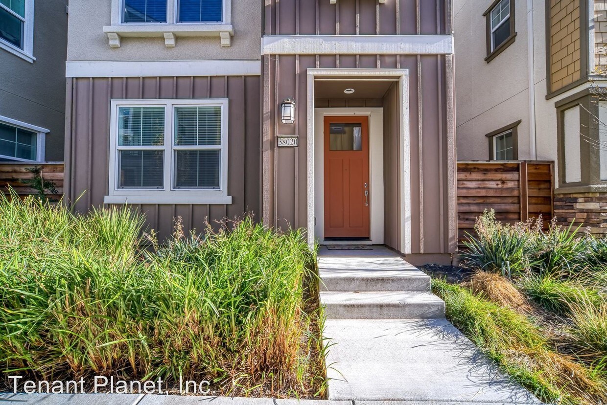 Primary Photo - 4 br, 3.5 bath House - 38020 Luma Terrace