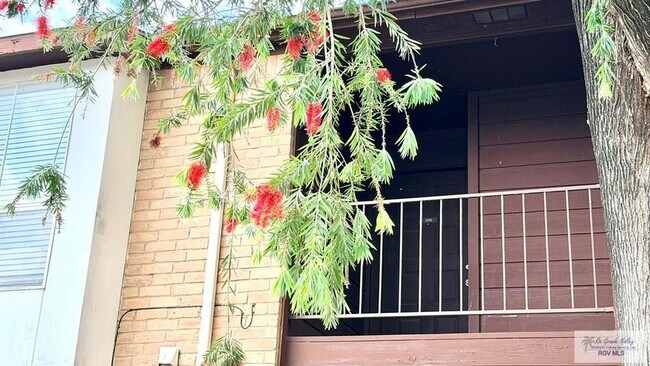 Foto del edificio - 4601 Carmen Ave