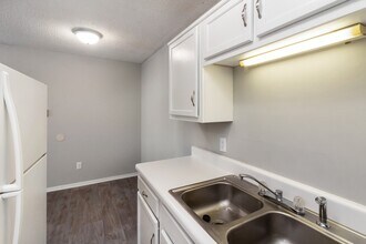 Building Photo - Terra at Ashley