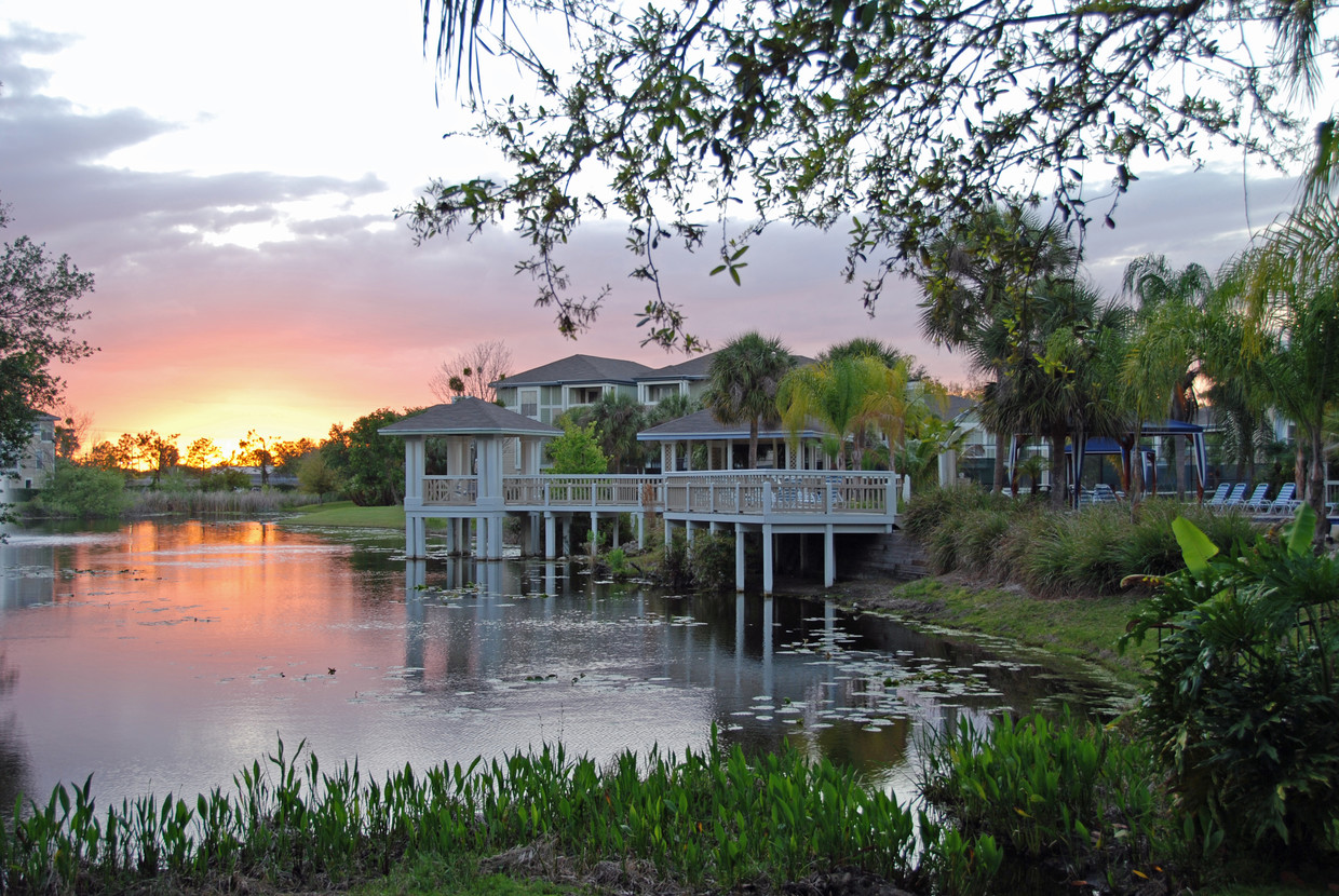 Foto principal - Palm Cove Apartments