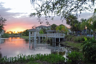Building Photo - Palm Cove Apartments