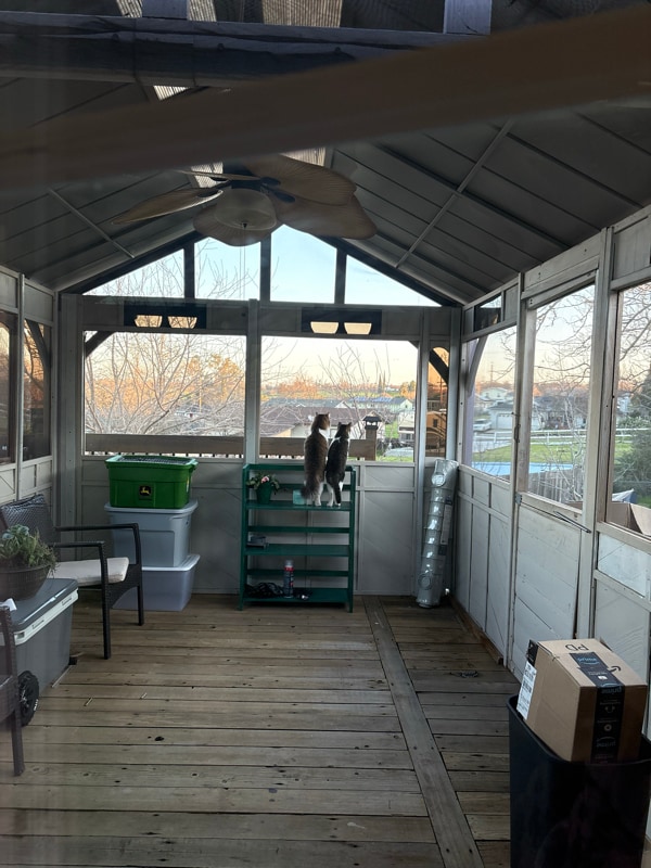 Building Photo - 4061 Zumi Ct