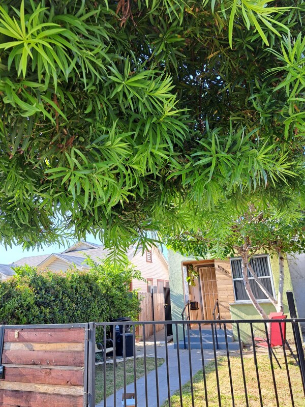 Foto principal - 1726 Leighton Ave