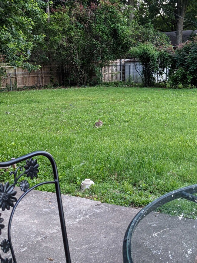 Foto del edificio - 5230 S Columbia Ave