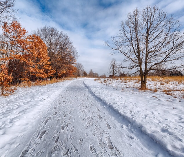 Rice Creek Park in the winter
