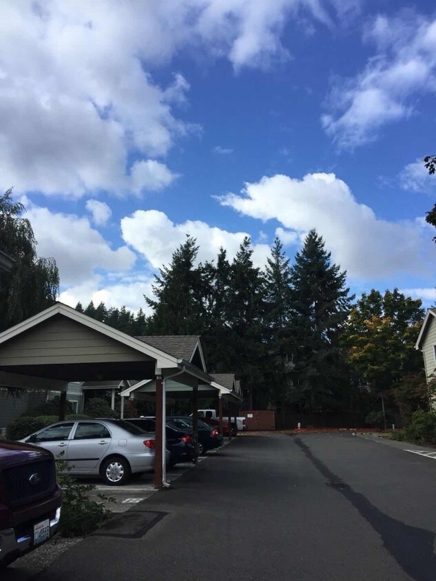 Primary Photo - 755 5th Pl NW