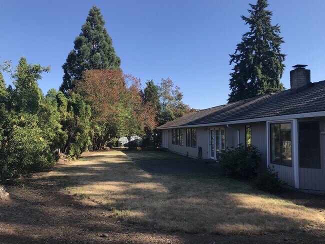 Back yard - 1401 SE 120th Ave