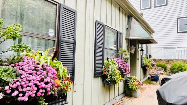 Front Yard/Entrance - 1005 Hill St