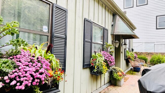 Jardín delantero/Entrada - 1005 Hill St