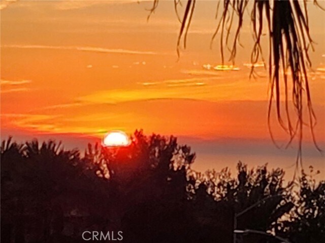 Foto del edificio - 87 Palm Beach Ct