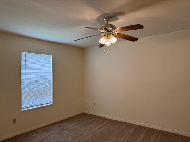 Foto del edificio - 9101 Country Creek St