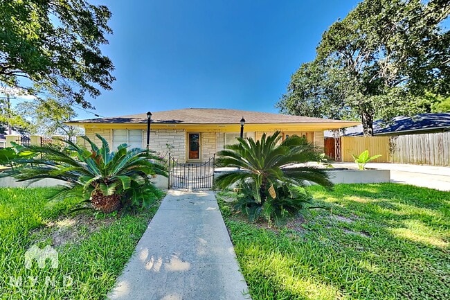 Building Photo - 101 Live Oak St