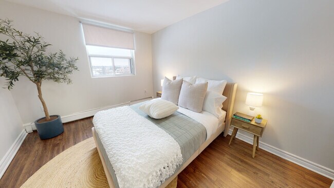 Interior Photo - Wonderland Road