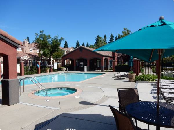 Swimming pool - 885 Halidon Way