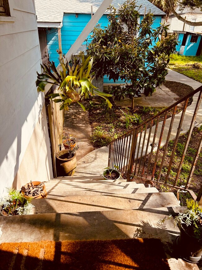 entrance - 522 Tricou St