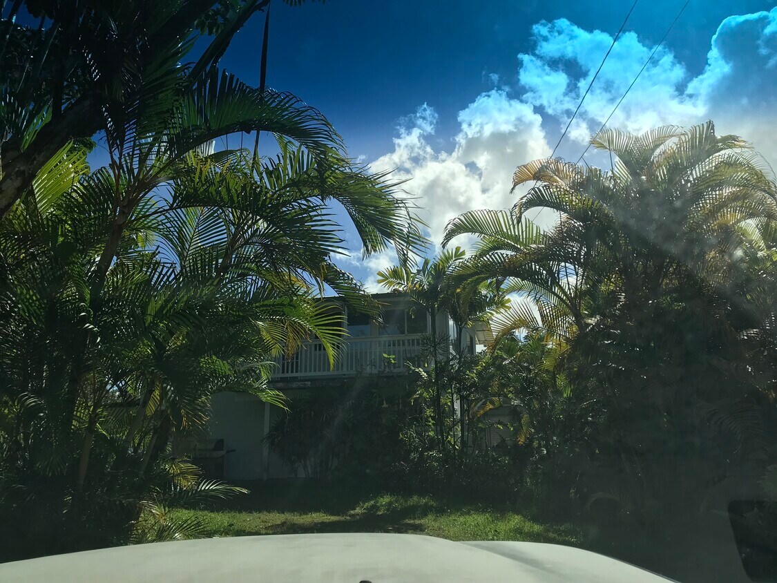 151892 32nd Ave, Keaau, HI 96749 House Rental in Keaau, HI