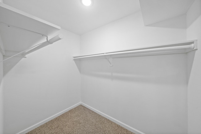 Walk In Closet- B1-2Bd-2Ba- Flint290.jpg - Flint at 290