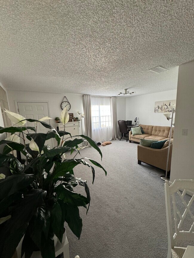 Foto del edificio - 6018 Indrio Rd