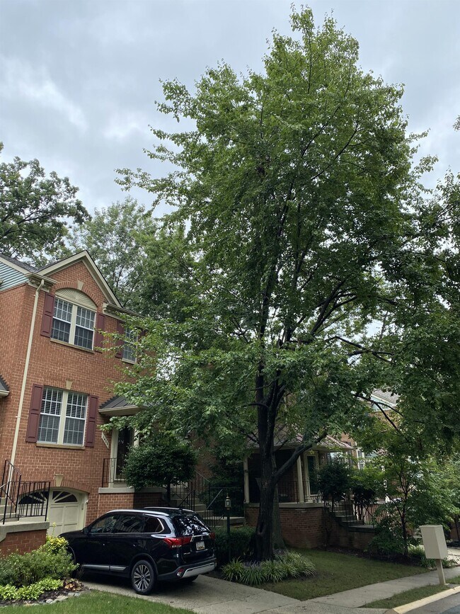 Foto del edificio - 1400 Park Garden Ln