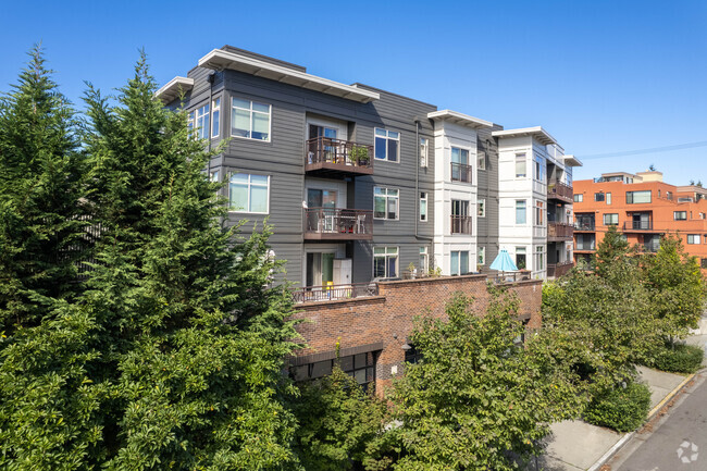 Exterior - Tavona