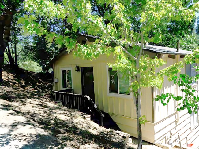 Foto del edificio - Running Springs Cabin Oasis