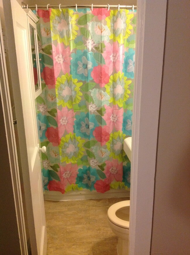 Building Photo - 205 Hester St