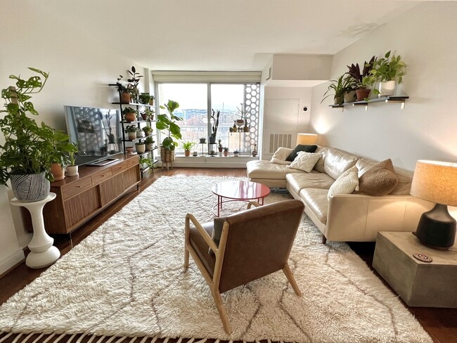 Living room from entrance - 800 4th St SW