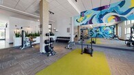 Located at 1200 Bridgeport Way in Suffolk, Virginia, this fitness center is a thoughtfully designed, single-floor facility offering a comprehensive workout environment. The space is immediately distinguished by a large, colorful mural depicting swirling waves and abstract forms, serving as a dynamic focal point throughout the room. Patterned carpet tiles in earthy tones cover much of the floor, while bright yellow-green rubber flooring defines the dedicated free weights and strength training zone.

The cardio area is well-appointed with multiple treadmills, elliptical trainers, and rowing machines positioned along a wall of large windows that invite abundant natural light and provide views of the surrounding community. A wall-mounted television supports on-demand workout programming in this section.

The strength training area features a cable machine, weight benches, a full dumbbell rack, and plate-loaded equipment, all positioned around structural columns and complemented by a floor-to-ceiling mirror. An adjoining functional training zone offers stability balls, balance tools, and wall-mounted shelving for accessories.

The entry area includes a welcoming foyer with raised planter boxes filled with tall greenery, lending a clean, modern aesthetic. Track lighting and recessed ceiling fixtures ensure consistent illumination throughout. The overall ambiance is energetic yet organized, designed to support a wide range of fitness activities.