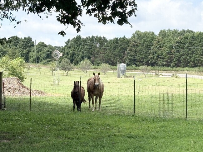 Building Photo - 368 White Pine Crossover