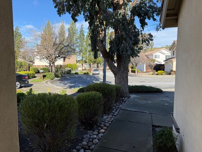 Building Photo - 212 Montevideo Cir