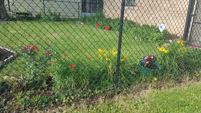 Back Yard - 16043 Marshfield Ave