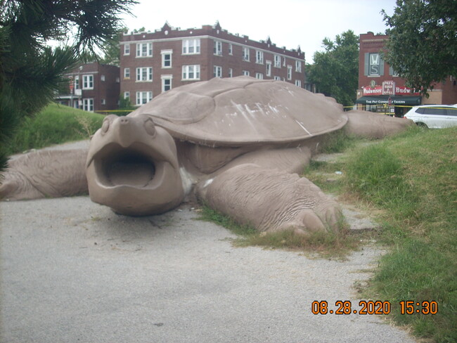 TURTLE PARK - 6438 Oakland Ave