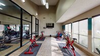 Located at 2020 Armstrong Mill Rd in Lexington, Kentucky, this single-floor fitness studio is purpose-built for group cycling and individual exercise. The space is defined by its impressive vaulted ceilings, which lend an open, airy atmosphere and contribute to a sense of generous volume throughout. A fleet of red spin cycles is arranged on individual padded mats across a durable, patterned carpet floor, providing ample space between each station for comfortable use. A wall-mounted flat-screen television with a soundbar serves as a central focal point, ideal for guided workouts or entertainment during sessions. Natural light flows generously into the room through large windows along the exterior wall, which also offer views of the surrounding greenery, enhancing the workout environment. A distinctive teal accent stripe runs along the upper portion of the walls, adding a pop of color to the otherwise neutral beige palette. Floor-to-ceiling black-framed glass partitions separate the cycling area from an adjacent fitness zone, which houses additional cardio equipment including an elliptical and a rowing machine, as well as stability balls and other accessories. The transparent partition design maintains visual connectivity between both areas while providing functional separation. Overall, the space delivers a well-equipped, bright, and professionally designed environment for fitness activities.