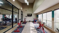 Located at 2020 Armstrong Mill Rd in Lexington, Kentucky, this single-floor fitness studio is purpose-built for group cycling and individual exercise. The space is defined by its impressive vaulted ceilings, which lend an open, airy atmosphere and contribute to a sense of generous volume throughout. A fleet of red spin cycles is arranged on individual padded mats across a durable, patterned carpet floor, providing ample space between each station for comfortable use. A wall-mounted flat-screen television with a soundbar serves as a central focal point, ideal for guided workouts or entertainment during sessions. Natural light flows generously into the room through large windows along the exterior wall, which also offer views of the surrounding greenery, enhancing the workout environment. A distinctive teal accent stripe runs along the upper portion of the walls, adding a pop of color to the otherwise neutral beige palette. Floor-to-ceiling black-framed glass partitions separate the cycling area from an adjacent fitness zone, which houses additional cardio equipment including an elliptical and a rowing machine, as well as stability balls and other accessories. The transparent partition design maintains visual connectivity between both areas while providing functional separation. Overall, the space delivers a well-equipped, bright, and professionally designed environment for fitness activities.