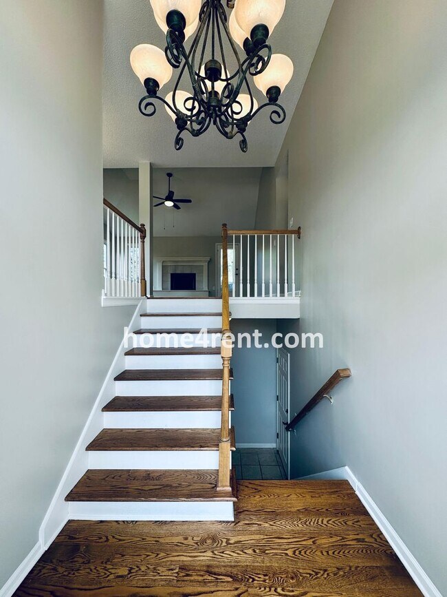 Foto del edificio - Brand New Paint, Wood Floors, Walkout Fini...