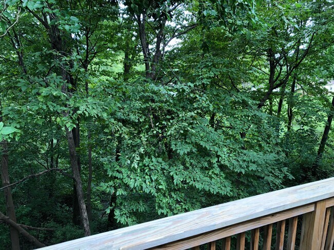 View from deck - 1429 Edgewood Rd NW
