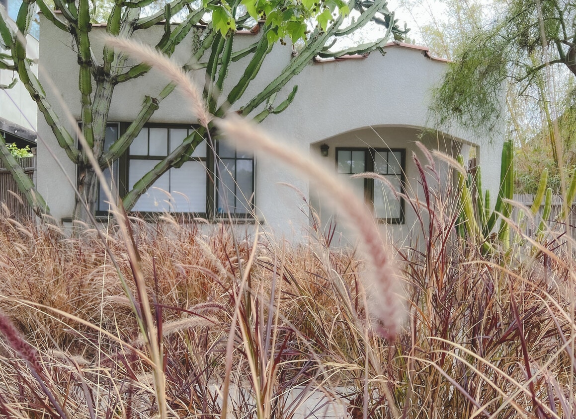 From the Street - 614 Boccaccio Ave