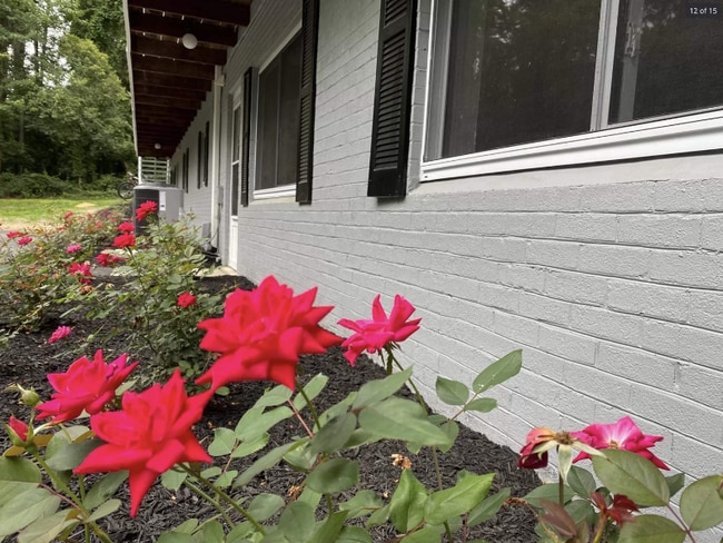Photo - 1416 Old Lystra Rd (Chapel Hill, NC) Apartment